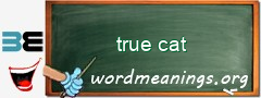 WordMeaning blackboard for true cat
